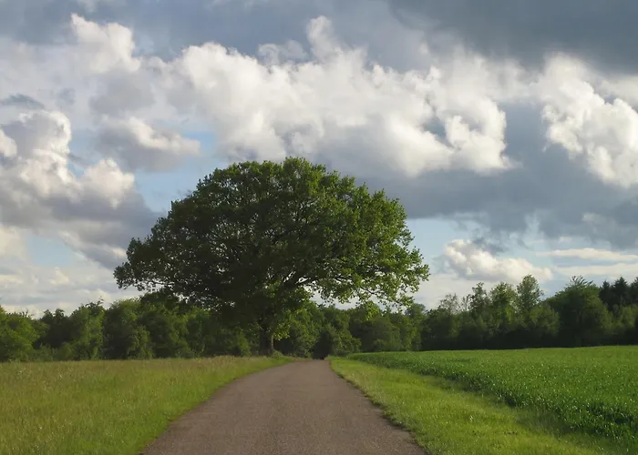 Bevau - Bio Alojamento de Acomodação e Pequeno-almoço 3*
